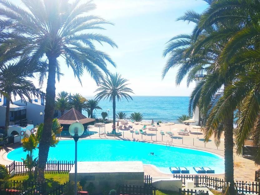 Playa Del Aguila  A Dream On The Beach Sun Club מראה חיצוני תמונה